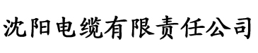 浪潮影院电缆厂logo